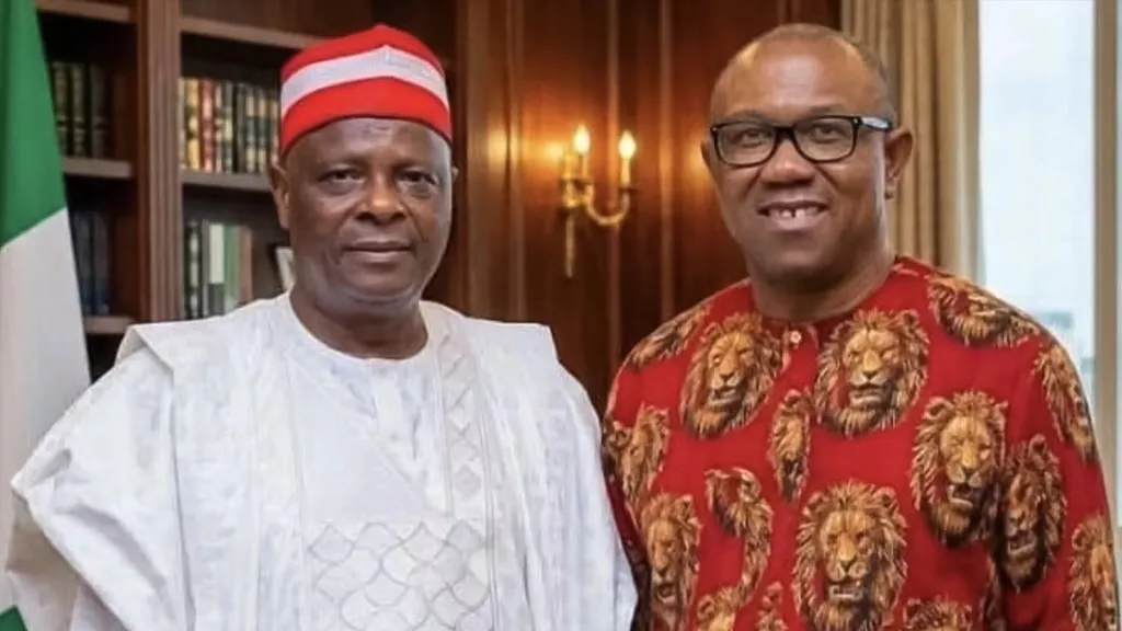 How my daughter urged me to work with Peter Obi — Kwankwaso
